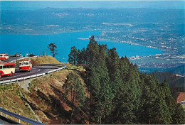 Japon - Kyoto - Mount Hiei Drive Way - Carte Neuve - Nippon - CPM - Voir Scans Recto-Verso - Kyoto