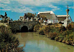 13 - Camargue - Pont Du Mort - Chevaux - CPM - Voir Scans Recto-Verso - Andere & Zonder Classificatie