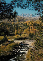 05 - Hautes Alpes - Vallée De Réallon - Le Pont Sur Le Torrent, Entre Les Rousses Et Les Means - Au Fond, Les Aiguilles  - Autres & Non Classés