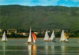 01 - Divonne Les Bains - Régates Sur Le Lac - Voiles - Carte Neuve - CPM - Voir Scans Recto-Verso  - Divonne Les Bains