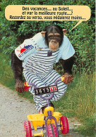 Animaux - Singes - Chimpanzé - Carte à Message - Animaux Humanisés - CPM - Voir Scans Recto-Verso - Monkeys