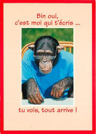 Animaux - Singes - Chimpanzé - Carte à Message - Voir Timbre - CPM - Voir Scans Recto-Verso - Affen