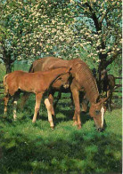 Animaux - Chevaux - Jument Et Son Poulain - Chevaux En Pature - Carte Neuve - CPM - Voir Scans Recto-Verso - Horses