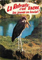 Animaux - Oiseaux - Parc Ornithologique Départemental De La Dombes - Villars Les Dombes - CPM - Voir Scans Recto-Verso - Birds
