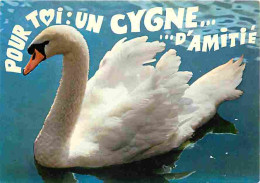 Animaux - Oiseaux - Cygnes - CPM - Voir Scans Recto-Verso - Uccelli