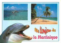 Martinique - Multivues - Dauphin - CPM - Voir Scans Recto-Verso - Andere & Zonder Classificatie