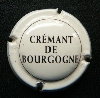 (ds-100)   Crémant De Bourgogne - Schuimwijn