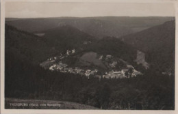 46747 - Treseburg - Vom Rennsteig - 1933 - Thale