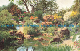 R679460 Park. Pond. J. Salmon. Postcard - Monde