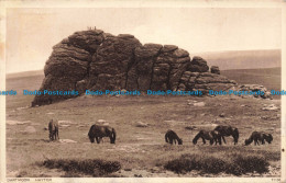 R679494 Dartmoor. Haytor. Photochrom. Postcard - Monde