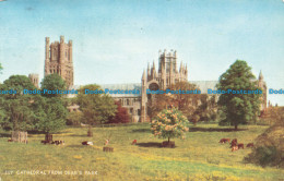 R679507 Ely Cathedral From Dean Park. J. Salmon. Cameracolour. 1960 - Mondo