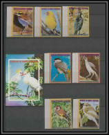 Guinée équatoriale Guinea 038A Michel N°989/995 + Bloc 247 Oiseaux Bird Birds Oiseau Non Dentelé Imperf MNH ** - Sperlingsvögel & Singvögel