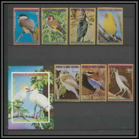 Guinée équatoriale Guinea 038 Michel N°989/995 + Bloc 247 Oiseaux Bird Birds Oiseau Non Dentelé Imperf MNH ** - Sperlingsvögel & Singvögel