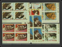 Guinée équatoriale Guinea 033b Michel N°1394/1400 Bloc 4 Non Dentelé Imperf MNH ** - Domestic Cats