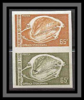 Cote D'ivoire (Ivory Coast) 019 N°328 COQUILLAGE Shell CYPRAEA STERCORARIA Essai (proof) Non Dentelé Imperf  - Ivory Coast (1960-...)