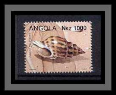 Angola Coquillages Shells Poissons (Fish Poisson Fishes) B14 - Muscheln