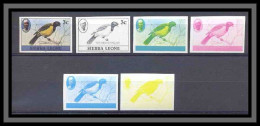 Sierra Leone BLACK HEADED ORICLE Oiseaux (bird Birds Oiseau) Essai (proof) Non Dentelé Imperf ** MNH - Other & Unclassified