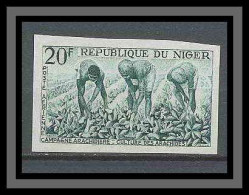 Niger 054c Pa N°31 Culture Arachide (peanut) Essai (proof) Non Dentelé Imperf MNH ** - Agricoltura