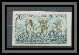 Niger 054a Pa N°31 Culture Arachide (peanut) Essai (proof) Non Dentelé Imperf MNH ** - Landwirtschaft