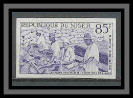 Niger 053b Pa N°33 Arachide (peanut) Essai (proof) Non Dentelé Imperf MNH ** - Niger (1960-...)