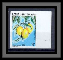 Mali 008 Non Dentelé Imperf ** Mnh N° 339 Fruits (fruts) Du Mali CITRON Lemon - Frutta