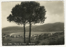 CPSM - ISOLA D'ELBA - Marina Di Campo 1951 - Autres & Non Classés