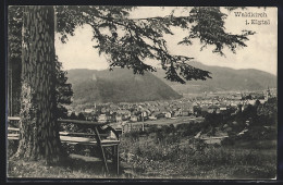 AK Waldkirch / Breisgau, Ortsansicht Mit Baum  - Waldkirch