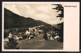 AK Wildenthal /Erzgeb., Totalansicht Aus Der Vogelschau  - Autres & Non Classés