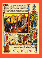 00441 ● NARBONNE 11-Aude Prise Par WISIGOTHS Guerre Peut Attendre Vigne Pas / Images Georges DELCAUSSE 1975s CORDES N°4 - Narbonne