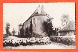 00126 ● MONTRILLON 58-Nièvre Chateau De CHASSY En MORVAN Départ Du Troupeau 1940s Photo-Bromure COLLIN Tannay 1195 - Andere & Zonder Classificatie