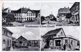 67 - BAS RHIN NIEDERSEPT ( OBER- ELSASS ) SEPPOIS BAS - Otros & Sin Clasificación