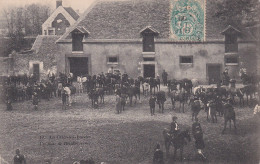 LA CELLE LES BORDES(CHASSE A COURRE) VENERIE - Autres & Non Classés