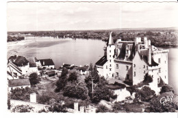 49 - MAINE ET LOIRE MONTSOREAU LE PONT LE CHATEAU ET LES BORDS DE LA LOIRE - Autres & Non Classés