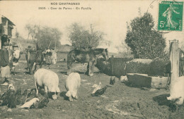 * RODEZ * NOS CAMPAGNES * COUR DE FERME * EN FAMILLE * COCHON * PIG * VOLAILLES * VACHES * CHEVAUX * FERMEIR * 1913 - Rodez