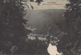 128416 - Bad Wildbad Im Schwarzwald - Blick Von Heermannsplatte - Calw