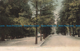 R679629 Southampton. The Avenue. F. G. O. Stuart. 1908 - Monde