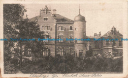 R679682 Oldenburg I. Gr. Elisabeth Anna Palais. M. Gluckstadt And Munden. 1919 - Monde