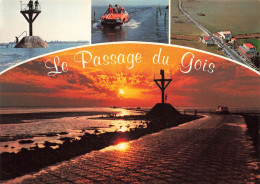 FRANCE - Couleurs De Vendée - Ile De Noirmoutier - Le Passage Du Gois - Chaussée De 4.5 Km - Carte Postale Ancienne - Noirmoutier