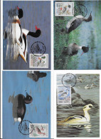 Carte Maximum 1993 - Nature De France - Canards : Harle Piette-Harle Huppé-Tadornes De Belon-Fuligule Nyroca -  4 Cartes - 1990-1999