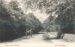 R679905 Co. Wicklow. Glen Of The Downs. Lawrence Publisher. 1905 - World