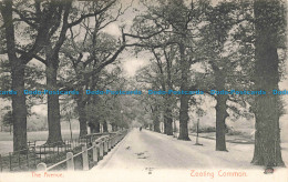 R679911 Tooting Common. The Avenue. 1905 - World