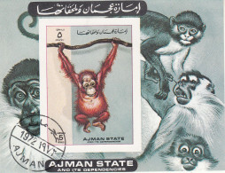 Ajman 1973  Young Bornean Orangutan (Pongo Pygmaeus) - Monkey  Ape Sheet Imperf. CTO - Hoftiere