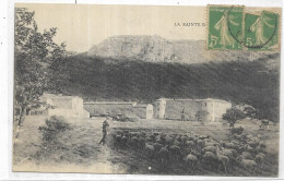 D 83  LA SAINTE BAUME.  TROUPEAU DE MOUTONS. CARTE ECRITE - Saint-Maximin-la-Sainte-Baume