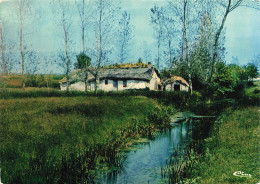 FRANCE - Paysages Vendéen - Une Bourrine Dans Les Marais - Carte Postale Ancienne - Autres & Non Classés