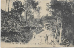 D 83  LA SAINTE BAUME. SUR LA ROUTE - Saint-Maximin-la-Sainte-Baume