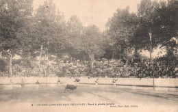 Courses Landaises Dans Les Landes Saut à Pieds Joints - Autres & Non Classés