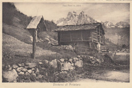 13303-PRIMIERO SAN MARTINO DI CASTROZZA(TRENTO)-DINTORNI DI PRIMIERO-1928-FP - Trento