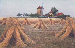 Les Moissons, Le Séchage Du Grain En Moyette Et Moulin à Vent (2828) - Cultures