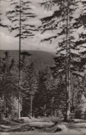 133967 - Goslar Hahnenklee - Bockswiese - Blick Auf Bocksberg - Goslar