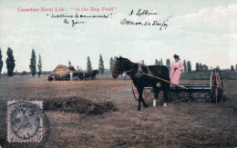 Canadian Rural Life: In The Hay Field, La Récolte Des Foins, Attelages, Char Et Rateleuse (3281) - Cultures